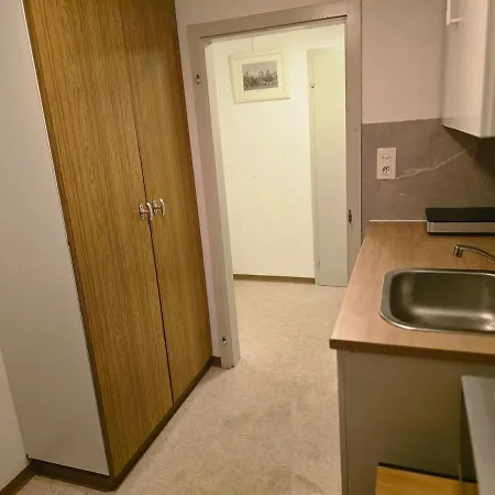 Stgallen Gratis Parkplatz Apartament *